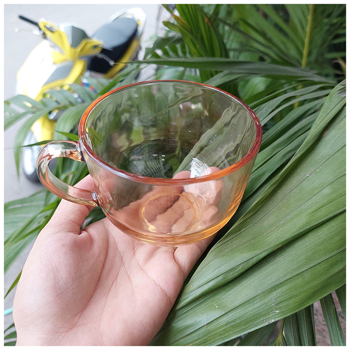 Ly Thuỷ Tinh Màu Hổ Phách 480ml Có Hộp