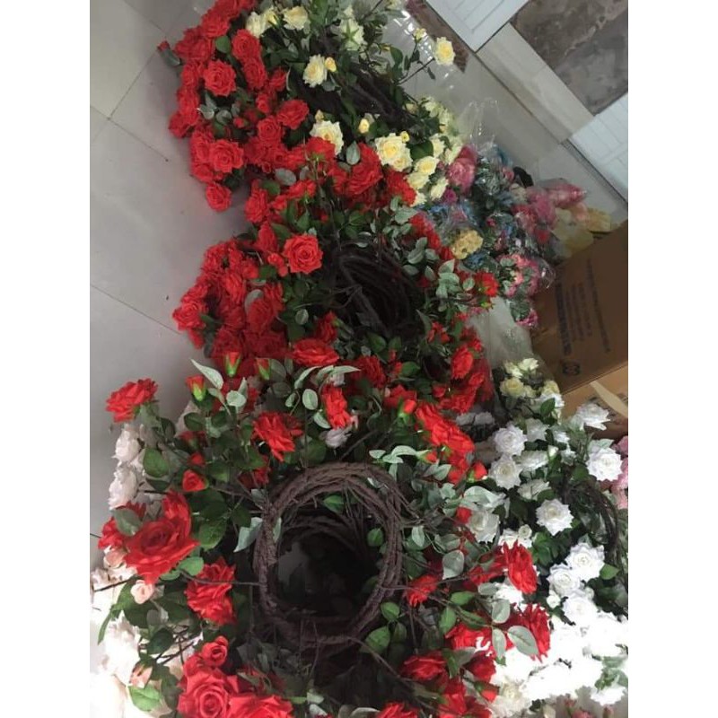 dây leo hoa hồng