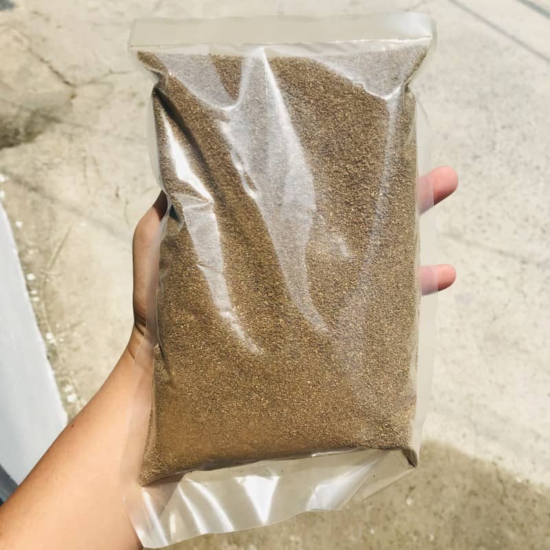 Indian Sand (Brown Buddy - India) - Bedding for Hamsters, Fat Tails,... - T3 Pets Shop