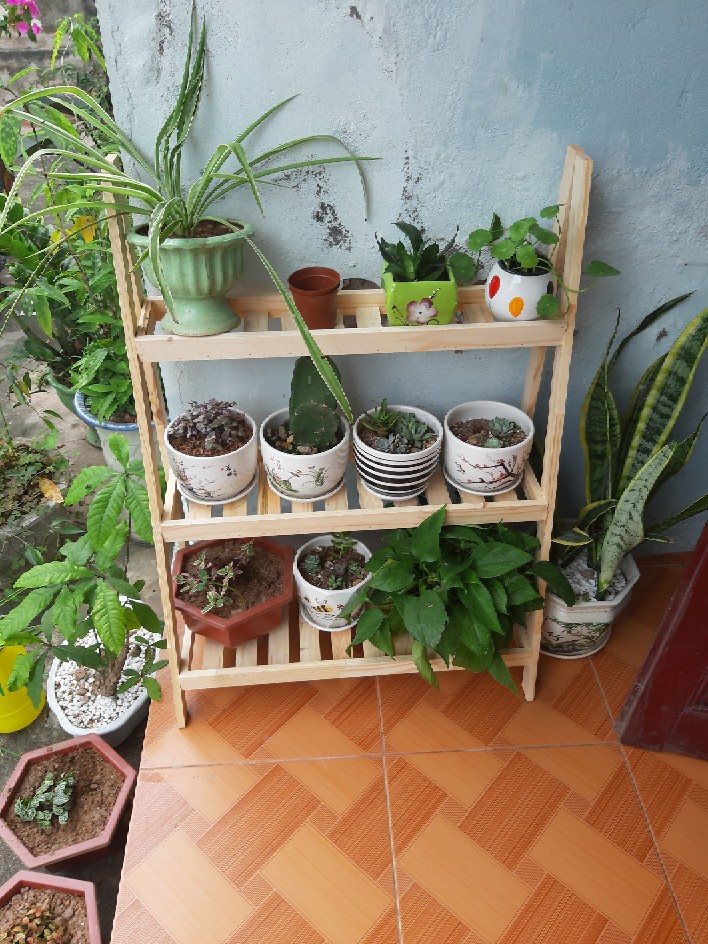 Kệ gỗ chữ A 3 ngăn