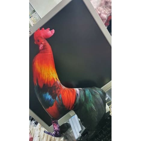 (hình thật) Thú bông 3D cao cấp -đồ chơi