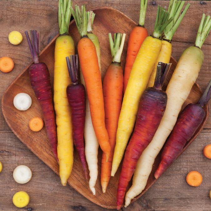 Rainbow carrot seeds - Sale Off