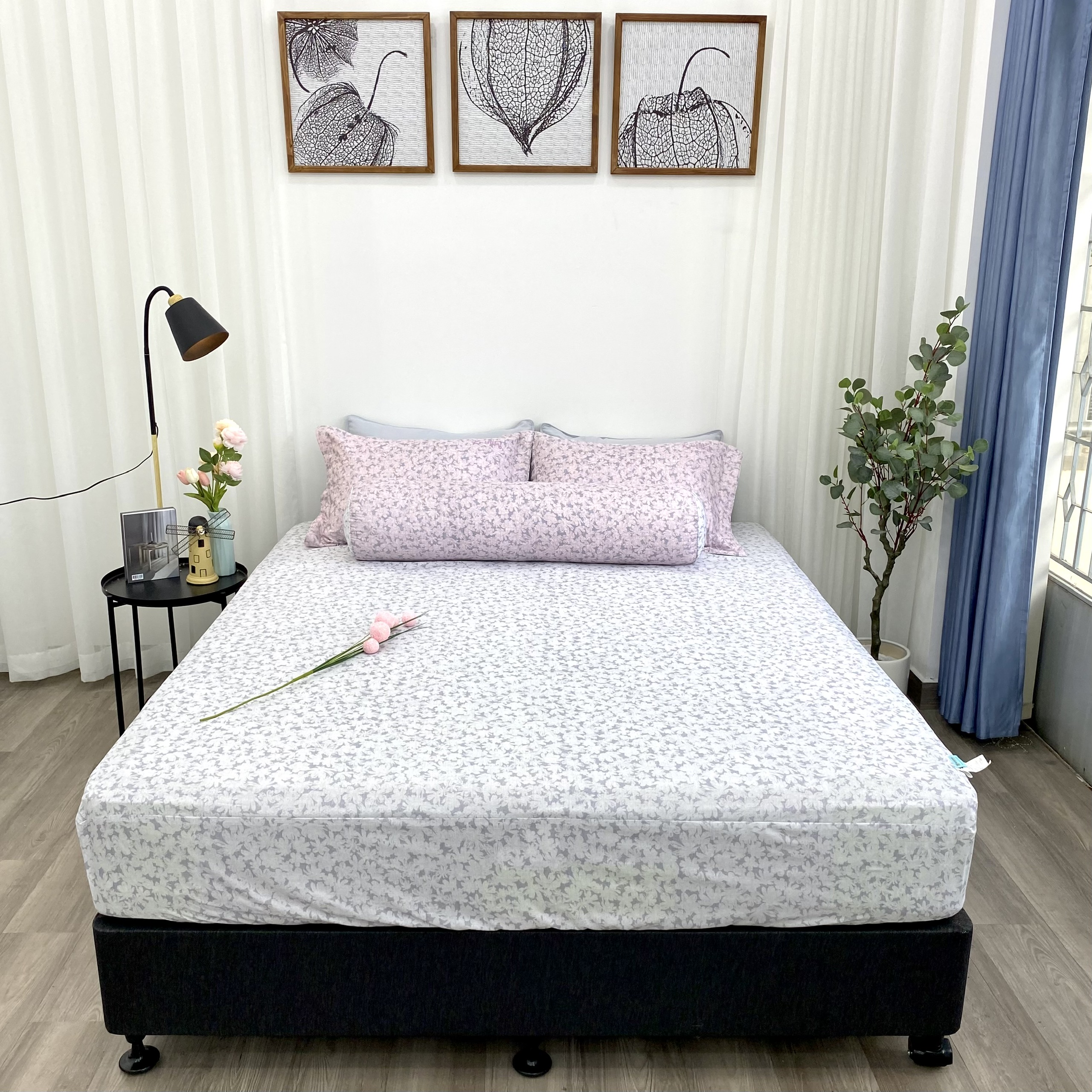 Bộ ga giường chun K-Bedding by Everon KMTP (KHÔNG GỒM CHĂN)