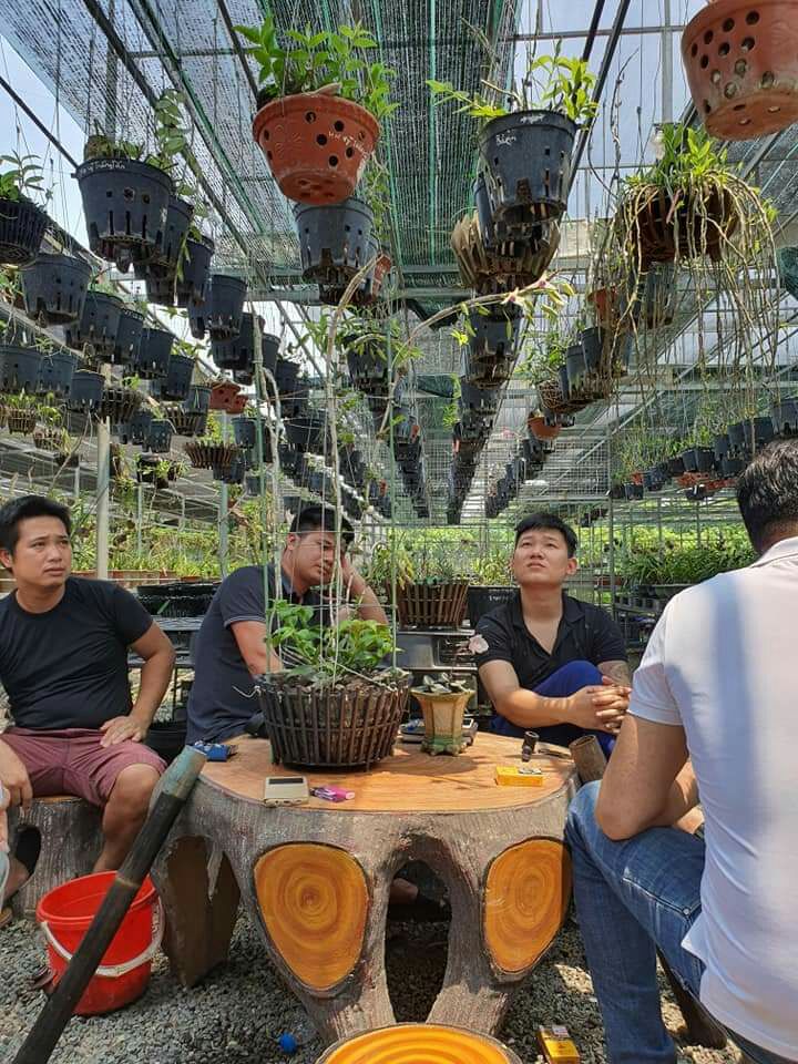 3 Khung Đỡ Hoa Hồng Hoa Lan Cây leo 120cm phi 7