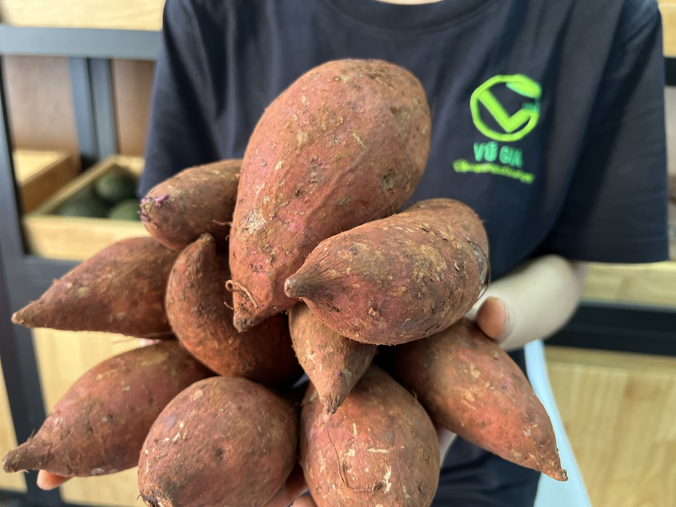 VG FARM Khoai Lang Mật Đà Lạt Lâm Đồng (500G/1KG)