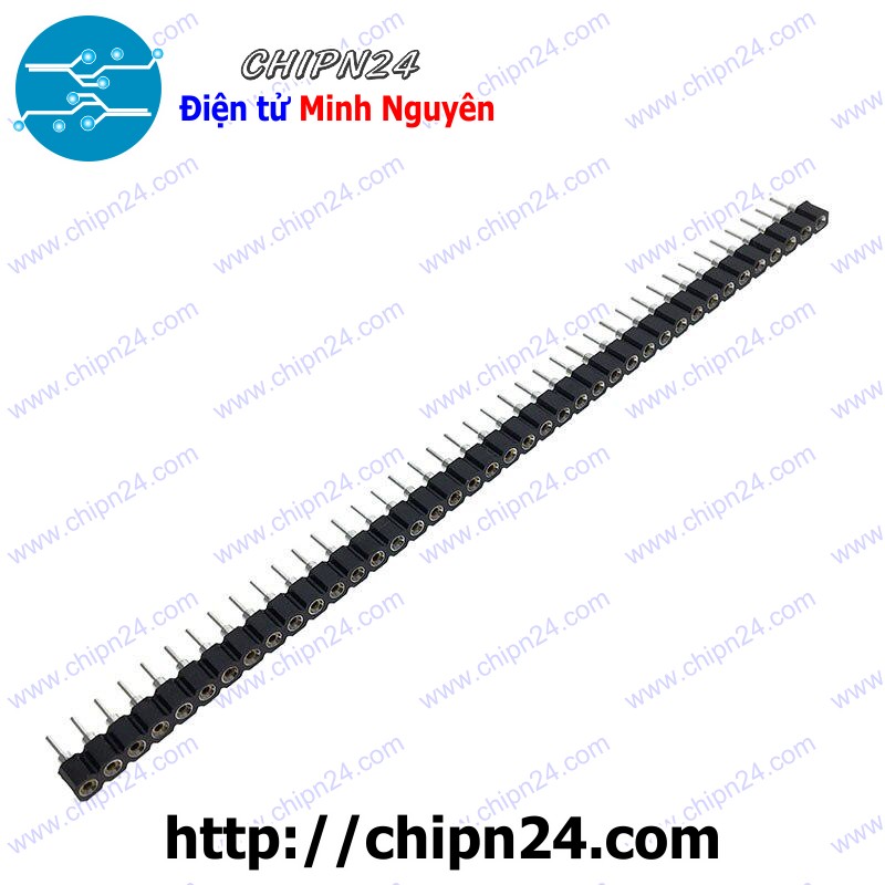 Header hàng rào cái đơn tròn 40p 2.54mm