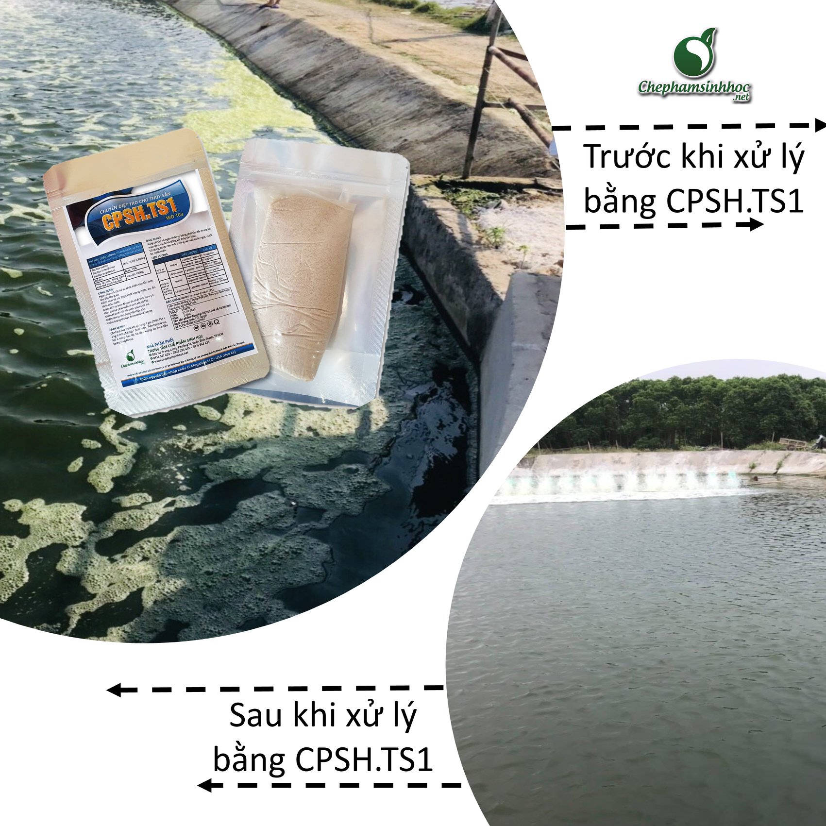[HCM]CPSH.TS1 - Chế phẩm vi sinh diệt tảo