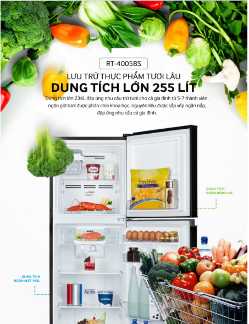 Tủ lạnh 2 cửa Inverter Coex RT-4005BS 255 Lít