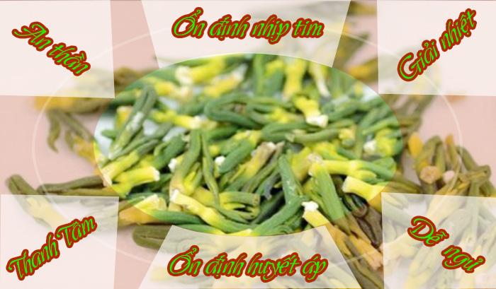 500g Trà tim sen khô Huế , ĐẶC SẢN HUẾ ( tâm sen loại đặc biệt )