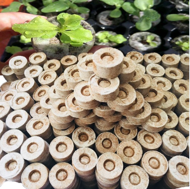 Bộ Viên nén sơ dừa ươm hạt giống ( 10 viên )