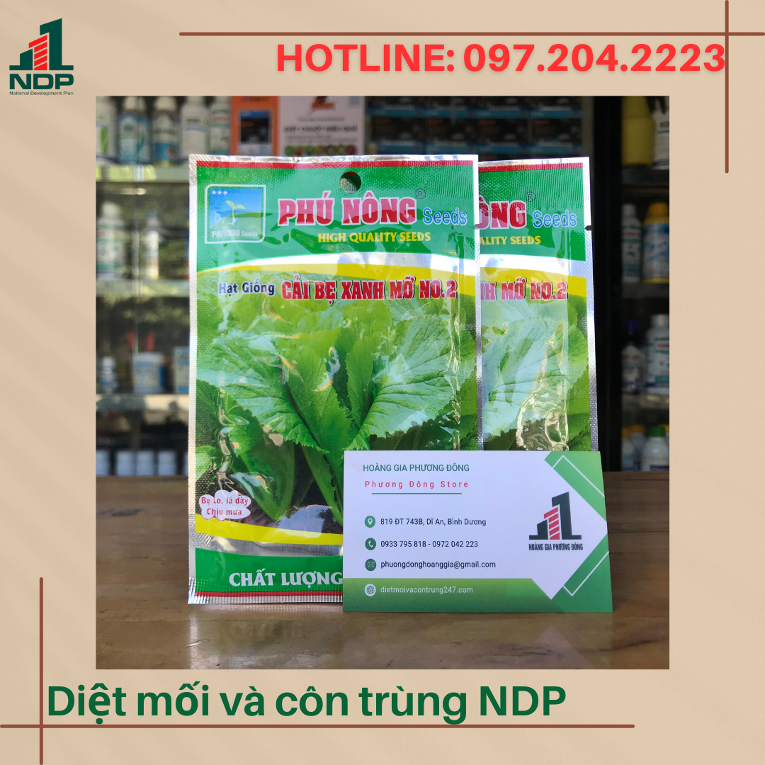 Hạt giống cải bẹ xanh mỡ - gói 20g, gói 50g