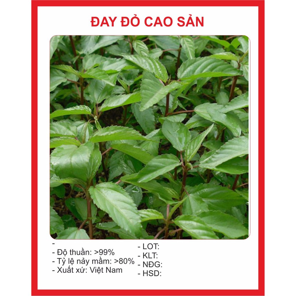 Hạt giống rau Đay Đỏ 20gram
