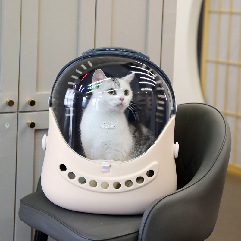 🐱 balo siêu phẩm dành cho thú cưng balo cao cấp - nhiều màu sắc🐱