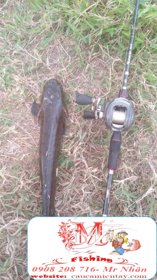 Mồi Lure Cá Lóc V5 Rất Hiệu Quả