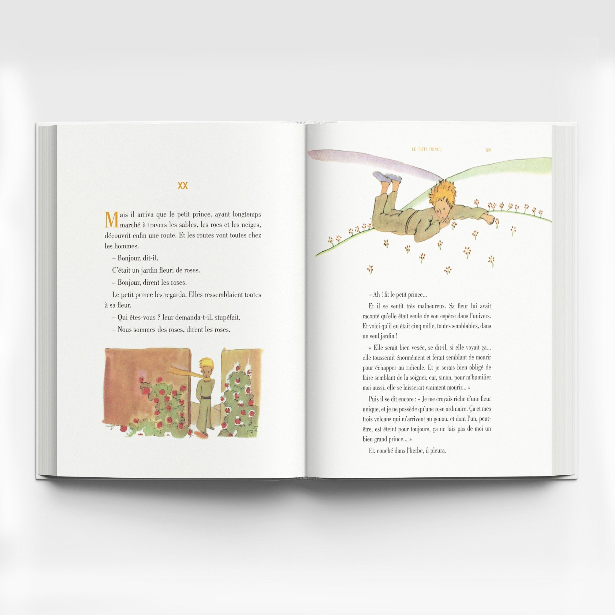 Cá Chép - Hoàng tử bé (Song ngữ Việt - Pháp)
