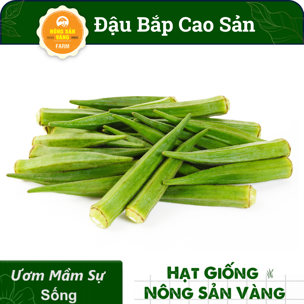 Okra Seed High Output (package 20 grams)-shallow gold