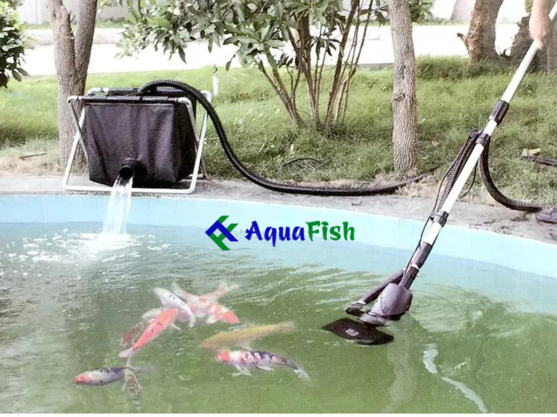 Combo máy vệ sinh hồ cá Koi và sọt lọc Boyu WNQ1 (máy khỏe, bền, hút cặn hiệu quả)