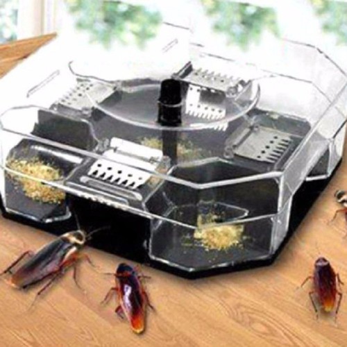 Combo 02 máy bắt gián triệt để