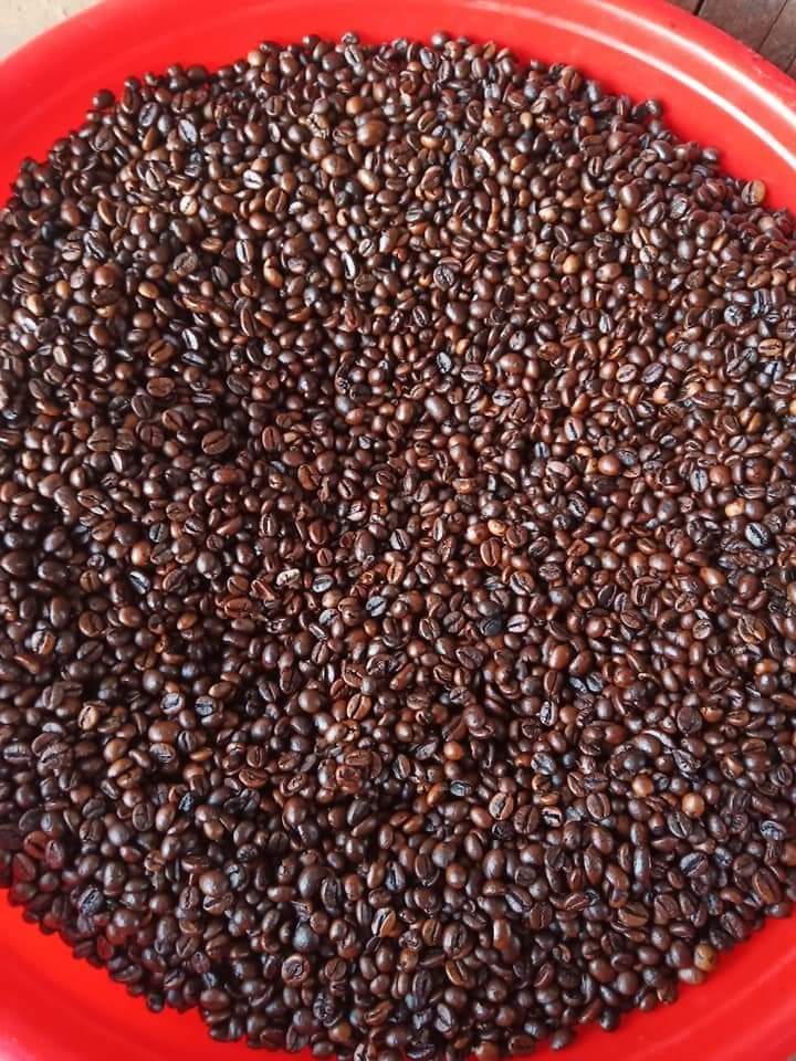 CÀ PHÊ NGUYÊN CHẤT ĐĂK LĂK LOẠI 1KG