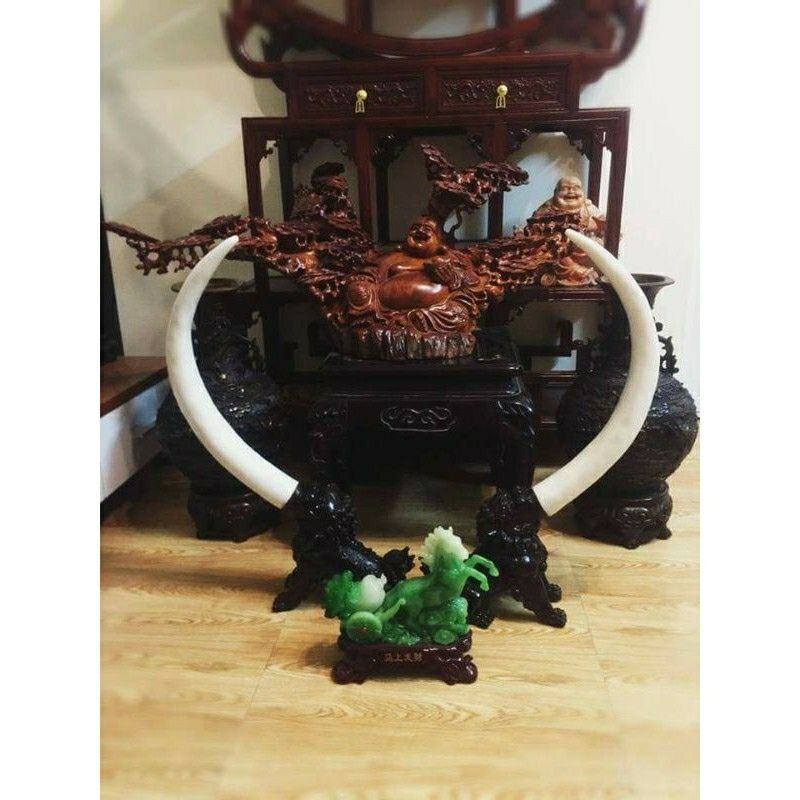 cặp kỳ lân ngậm ngà đá cao cấp