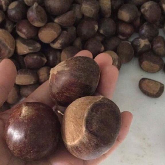 Combo 2kg hạt dẻ sống
