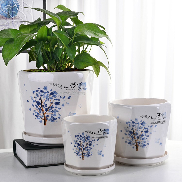 Chậu trồng cây size 17cm - kèm đĩa đựng nước