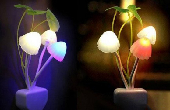 Đèn ngủ cảm ứng cao cấp hình nấm,