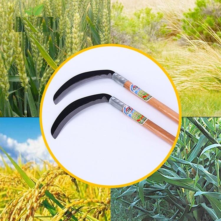 Liềm cán gỗ 55cm HM352