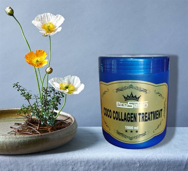 HẤP DẦU PHỤC HỒI TÓC Coco Collagen Treatment PROSALON