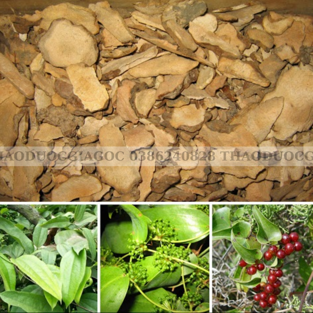 1kg củ khúc khắc khô (thổ phục linh)