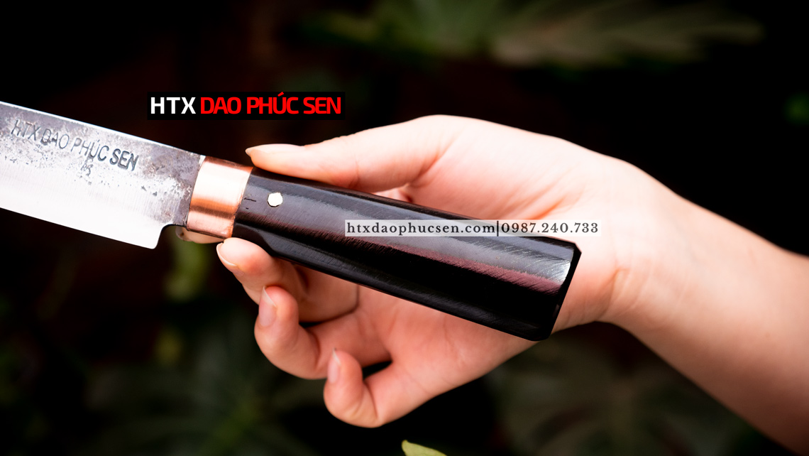 Dao phile chống dính nhíp xe - N14TMDD