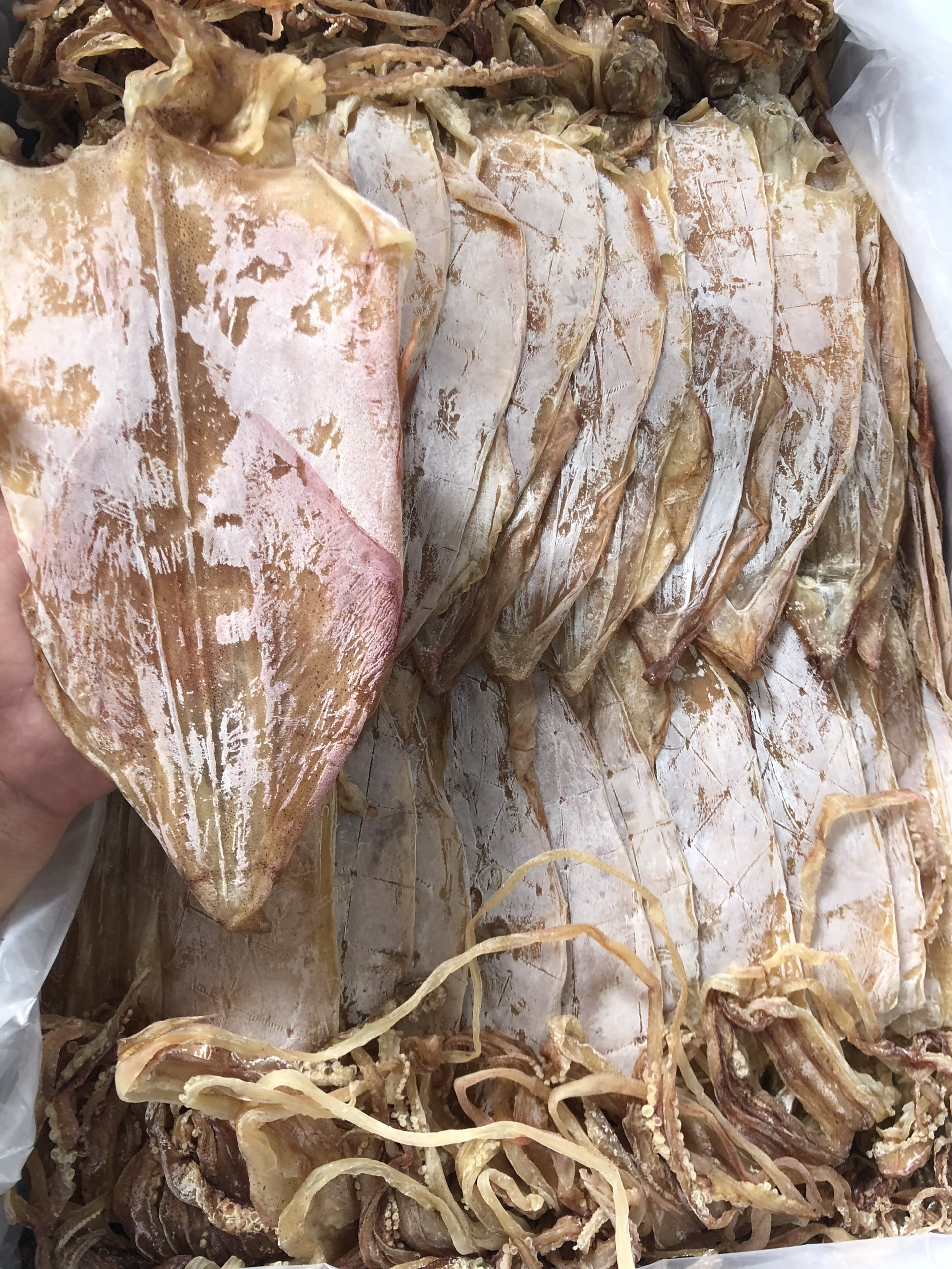 1kg Mực Khô Khánh hòa loại 20 con
