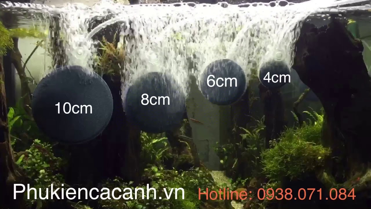 Sủi đĩa oxy tròn siêu mịn size 6cm cho hồ cá - Hàng Công Ty