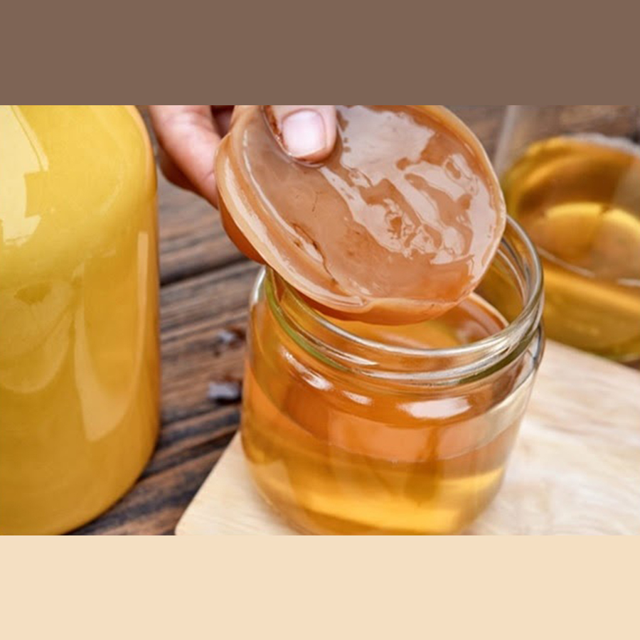 Mật trà kombucha (Ngỗng) | cốt chuối, thảo mộc, dưỡng sinh