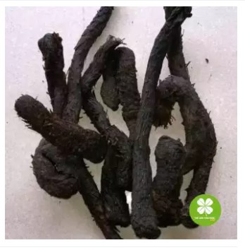 Nhục thung dung (gói 0.5kg) - LV031
