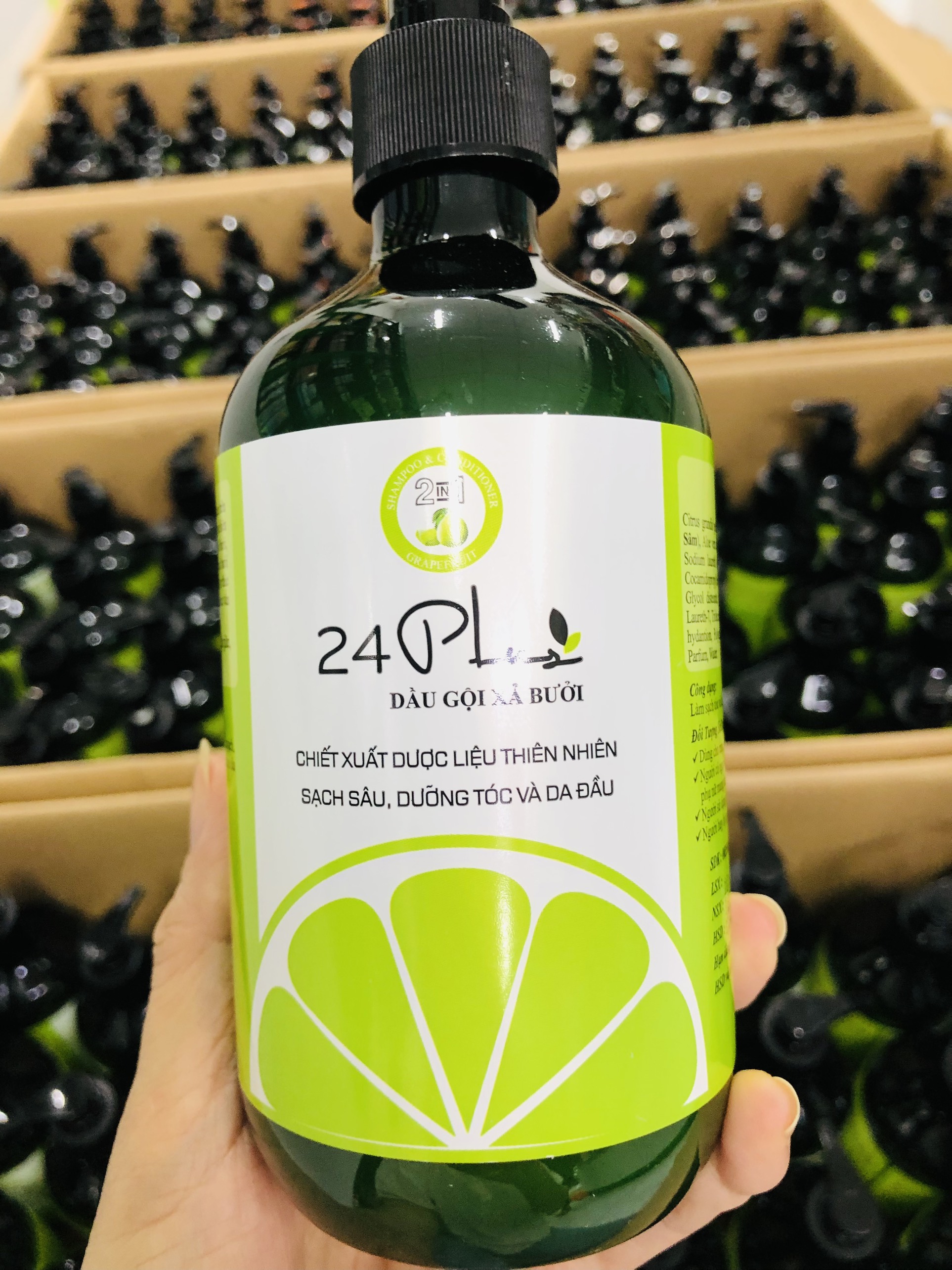 Dầu gội xả bưởi kích mọc tóc 24Plus 500ml