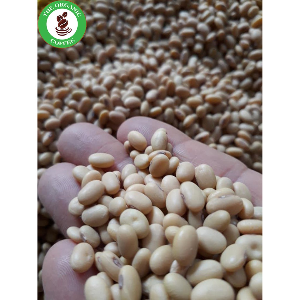 Freeship max -1kg | đậu nành tươi - đỗ tương nguyên hạt- vườn ươm eakmat tây nguyên