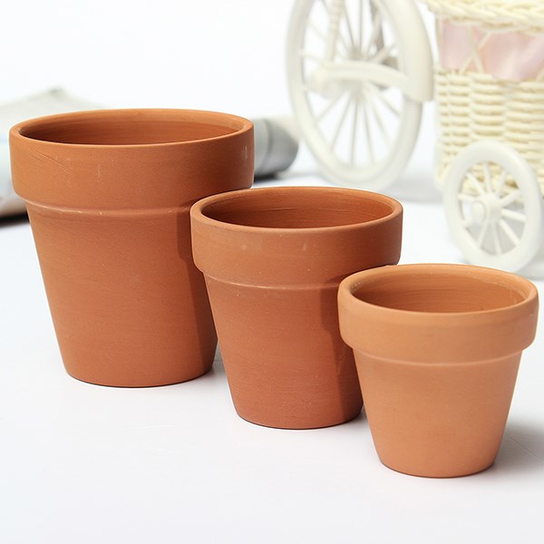 Combo 7 cây sen đá mông , sen đá Lithops , thạch lan size 1,5 - 2cm