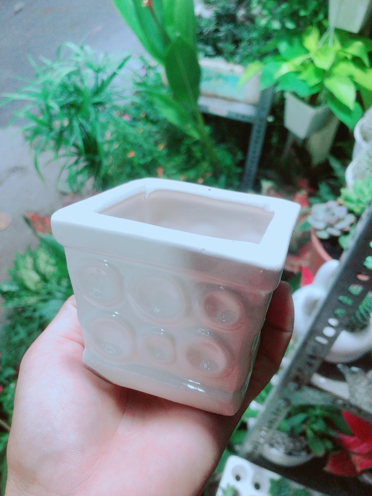 Chậu Trồng Cây (cao 7cm, ngang 7cm)