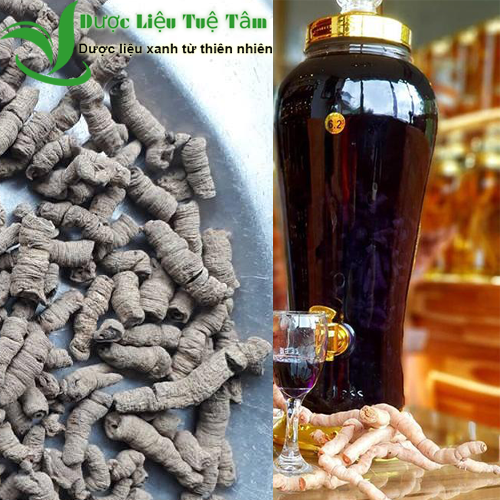Ba kích tím quảng ninh khô (Ba kích tím khô đã tách lỏi) - Ba kích rưng tự nhiên