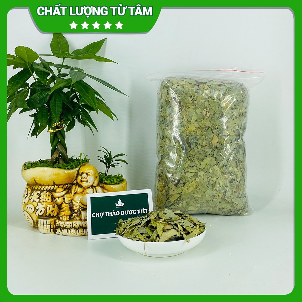 [Giá Sỉ] 1kg Lá Phan Tả Diệp Sạch Đẹp