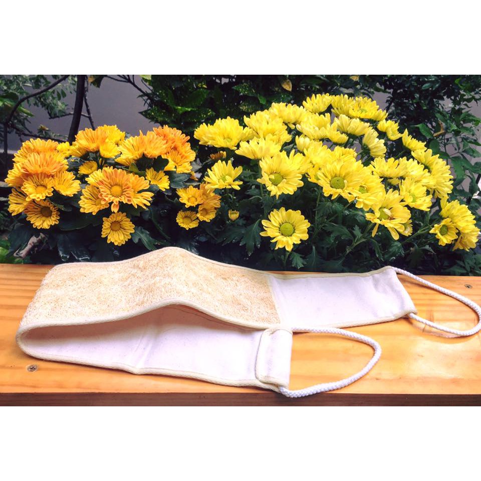 (Vi Lam) Loofah Back Scrub Belt (Back Scrub Belt, Bath Sponge) 80cm Long with String Helps Exfoliate Skin Safe for Skin Koshka Home