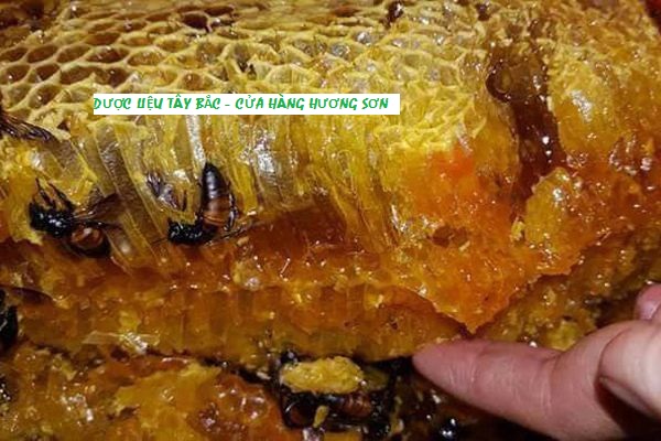 MẬT ONG RỪNG NGUYÊN CHẤT (Mật ong khoái, Mật ong ruồi, Mật ong đá) TÂY BẮC (Đã vắt - 1 lít)