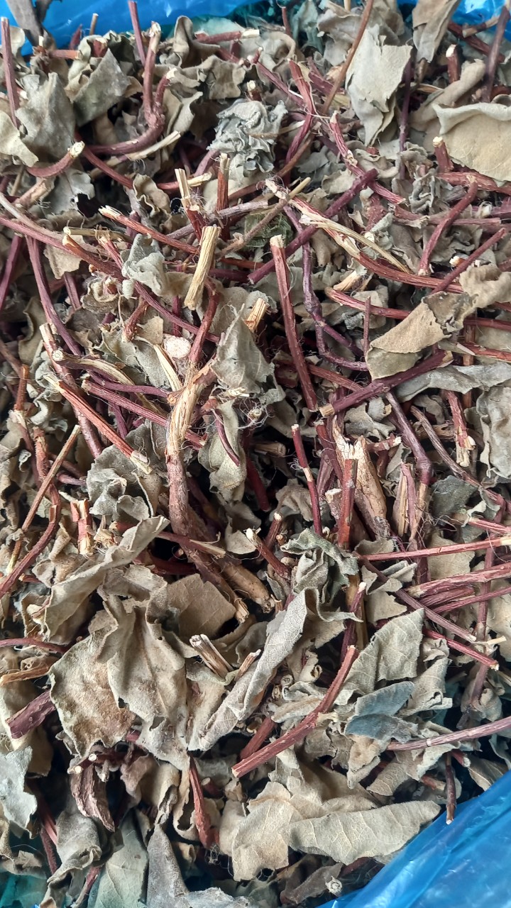 Cây Lá Hà Thủ Ô Khô / 1kg