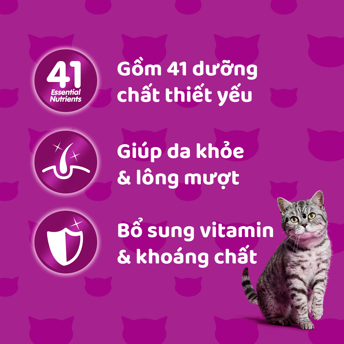 WHISKAS® Thức ăn cho mèo lớn dạng sốt (pate mèo) vị cá 80g (14 gói)