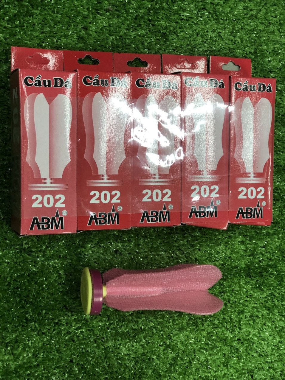 CẦU ĐÁ THI ĐẤU 202 ( LỐC 5 TRÁI)