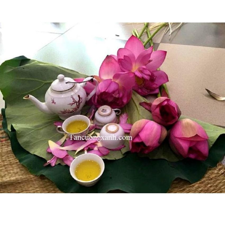 1kg Chè vụn sen Tân Cương Xanh