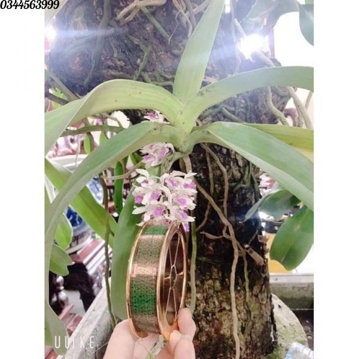 Cước câu cá tàng hình dài 100m