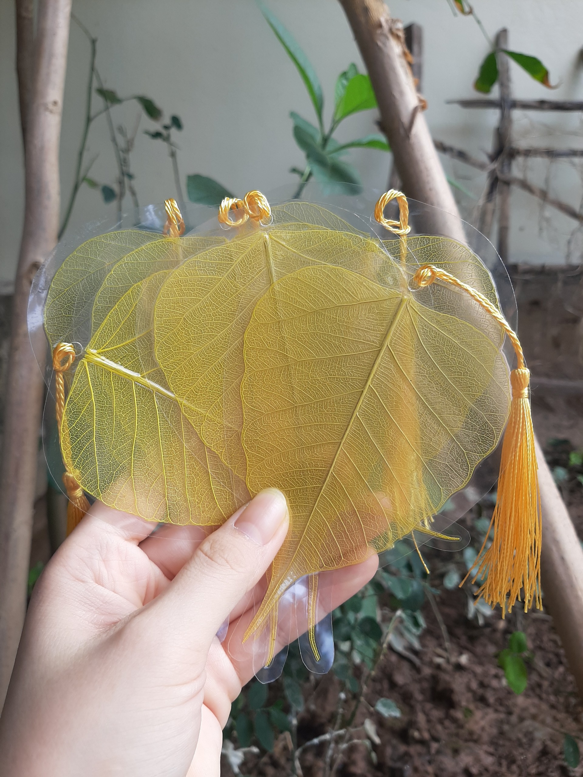 Lá bồ đề ép sẵn dùng để viết thư pháp size8-9cm