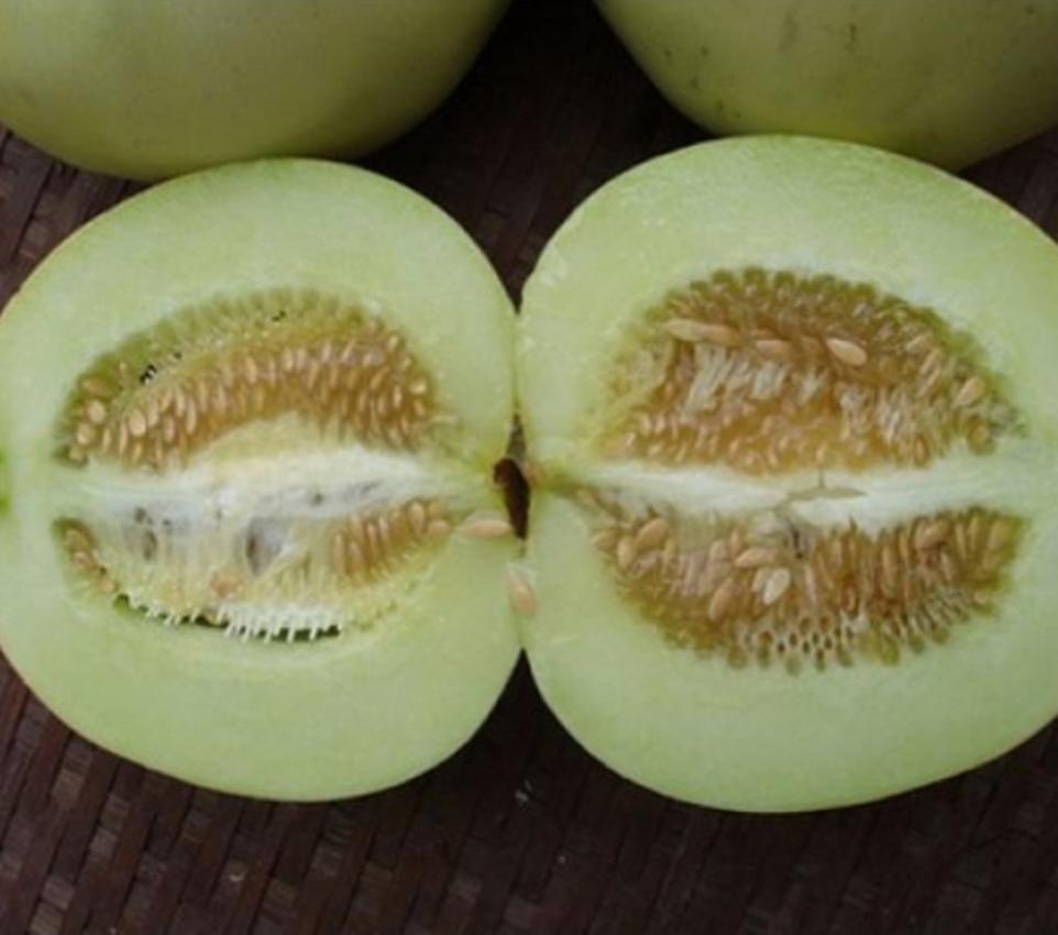 Hạt giống Dưa lê siêu ngọt